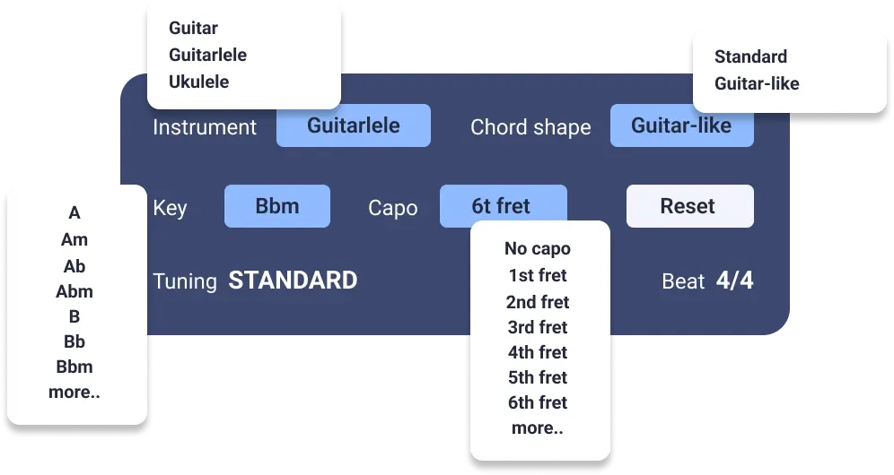 chordsmaster Customization Options